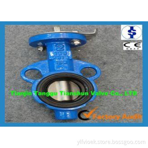 Corrosion Resistant Lug Butterfly Valve Wafer Type With Man